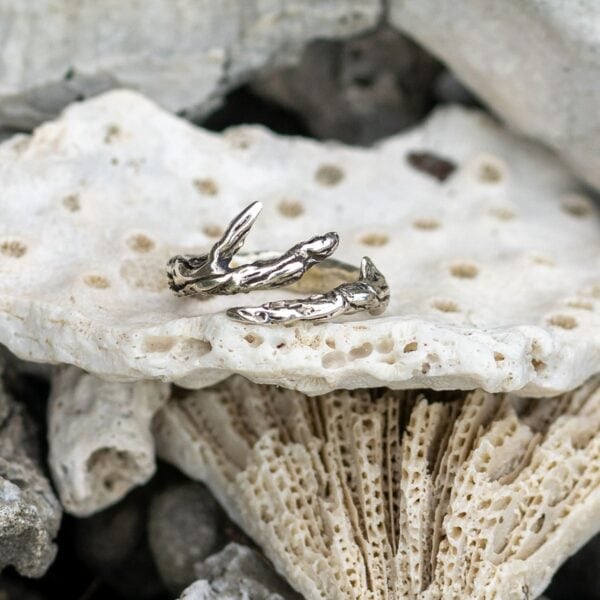 Driftwood - Image 6