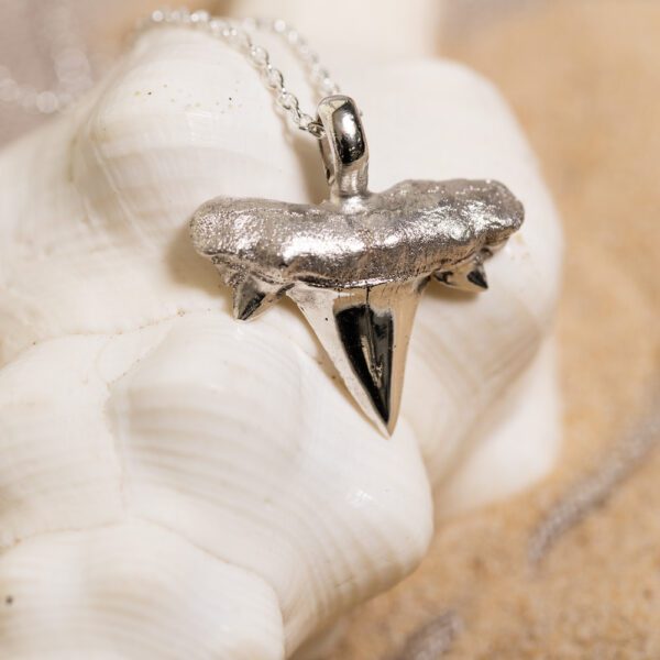 Shark Tooth - Image 6