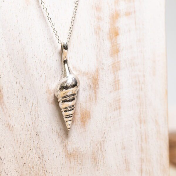 Unicorn Horn Shell - Image 10