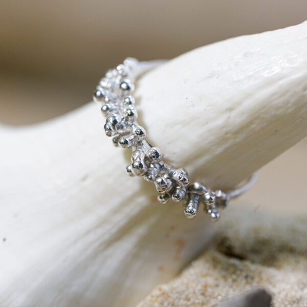 Crown - Image 4