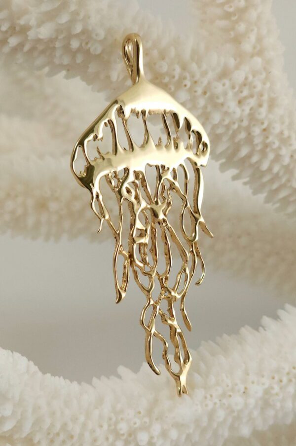 Large Jelly fish - Image 5