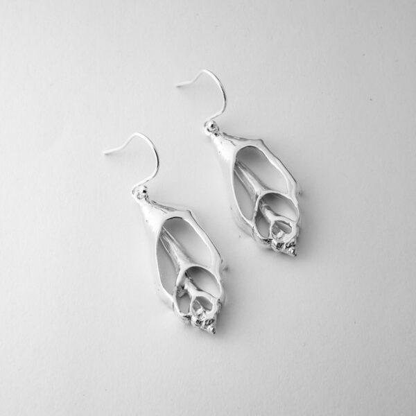 SeaShell Earrings