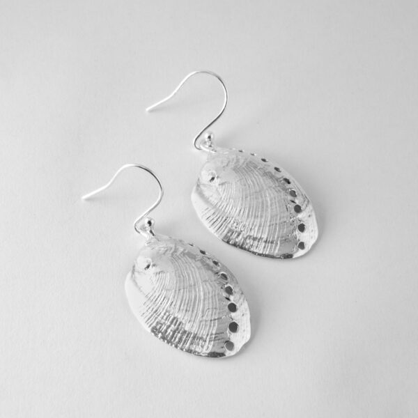 Paua Shell Earrings