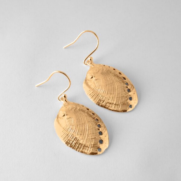 Paua Shell Earrings - Image 3
