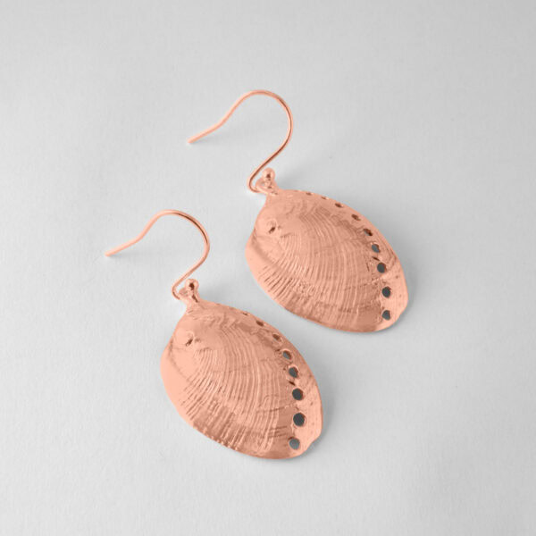 Paua Shell Earrings - Image 8