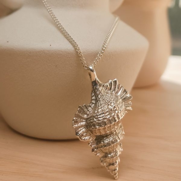 Large Kookaburra Shell - Image 7