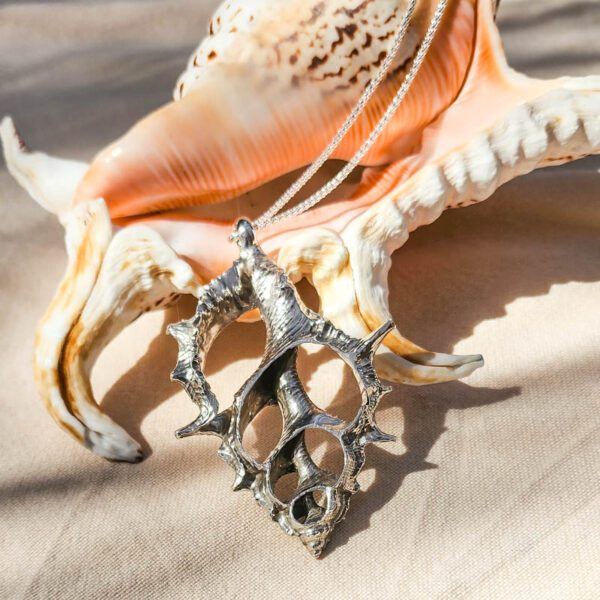 Maple Leaf Shell - Image 5