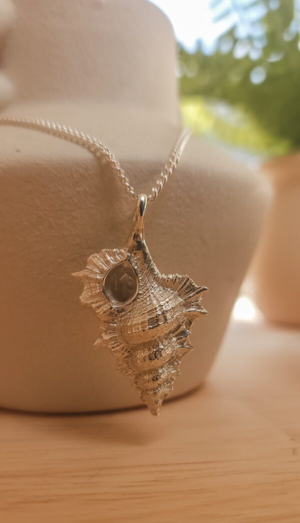 Small Kookaburra Shell - Image 8