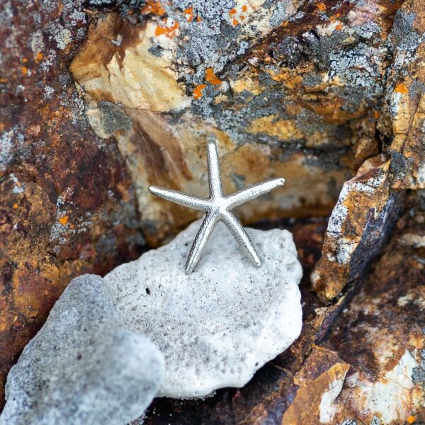 Large Starfish - Image 7