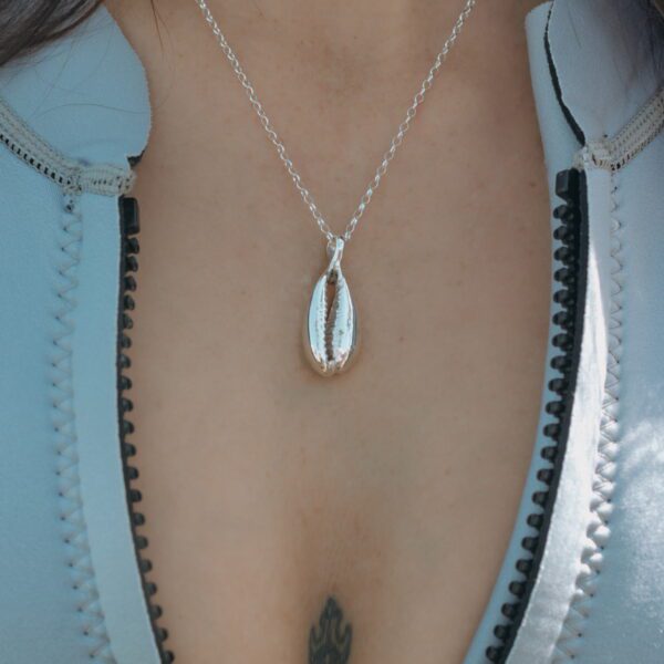 Large Cowrie Shell - Image 7