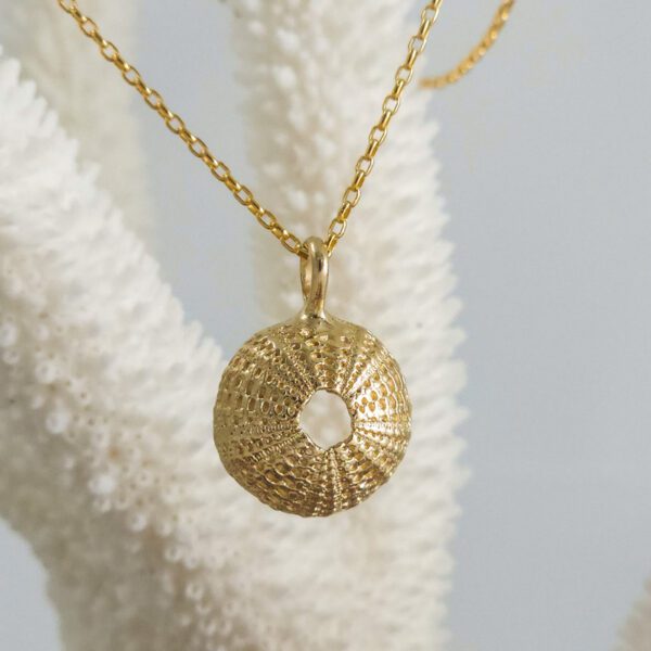 Small Urchin - Image 6