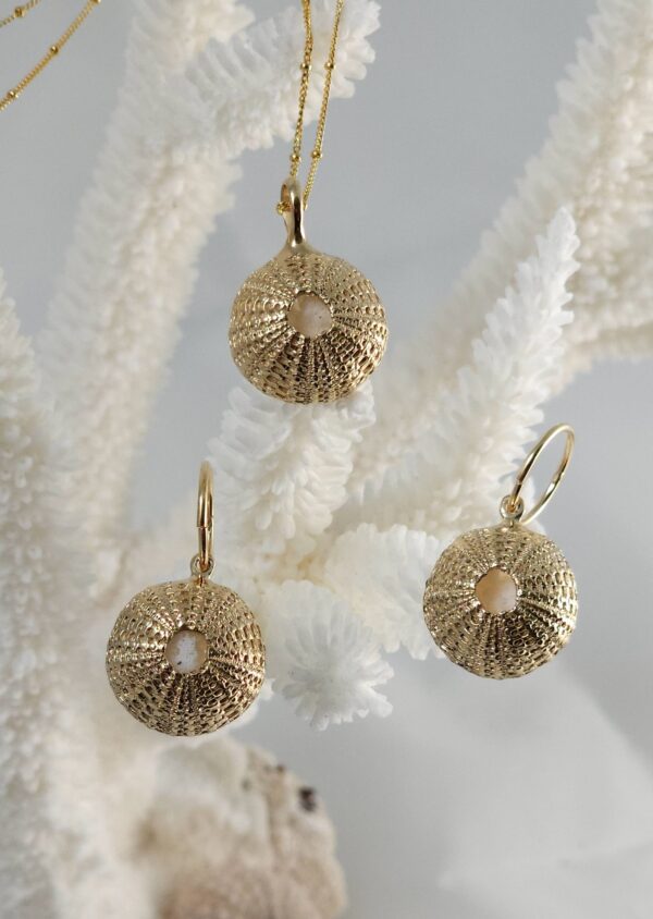 Small Urchin - Image 10