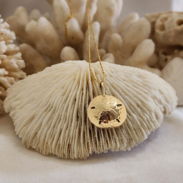 Large Sand Dollar - Image 5