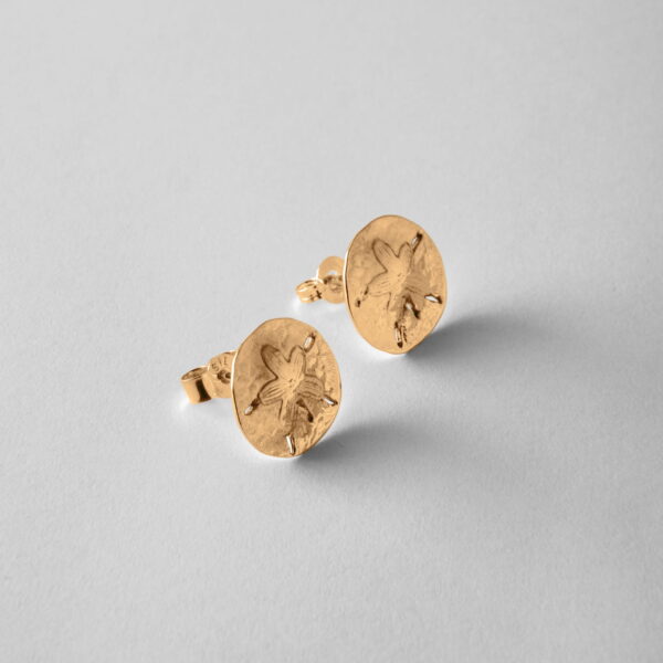 Sand Dollar Studs - Image 3