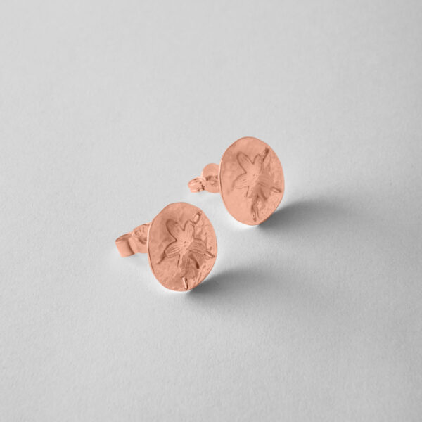 Sand Dollar Studs - Image 5