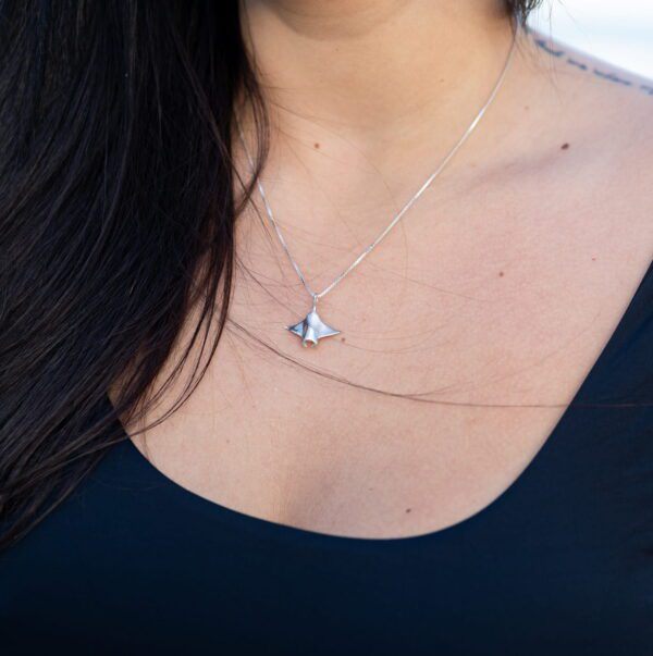 Small Manta Ray - Image 2