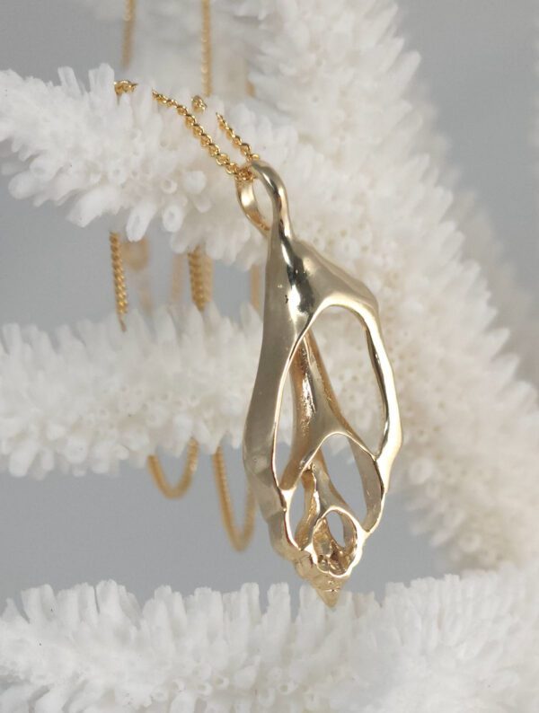 Sea Shell - Image 6