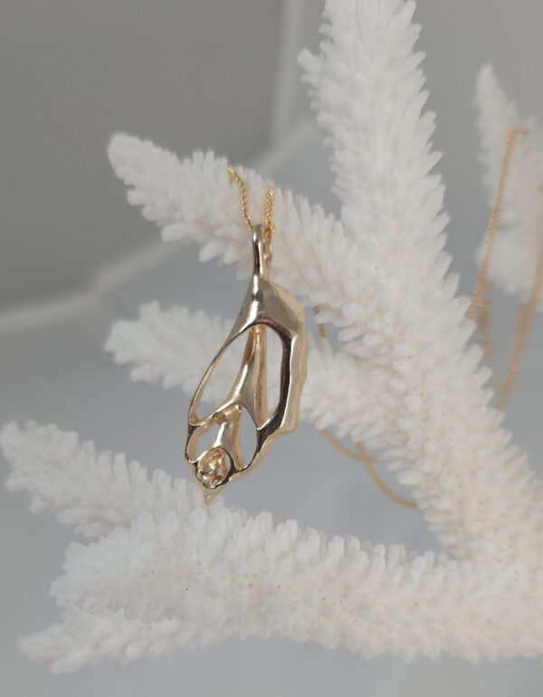 Sea Shell - Image 11