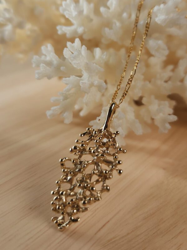 Crown Coral - Image 5