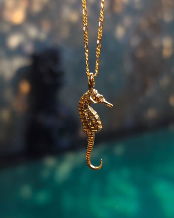Small Seahorse - Image 2