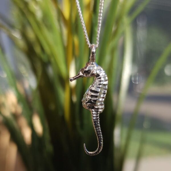 Small Seahorse - Image 4