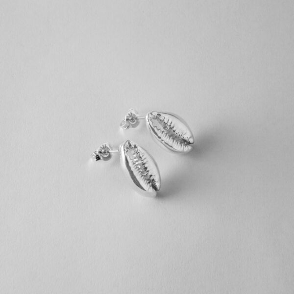 Cowrie Studs