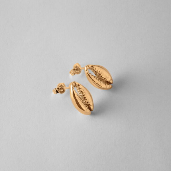 Cowrie Studs - Image 3
