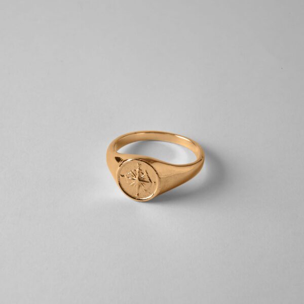 Small Compass - Image 3