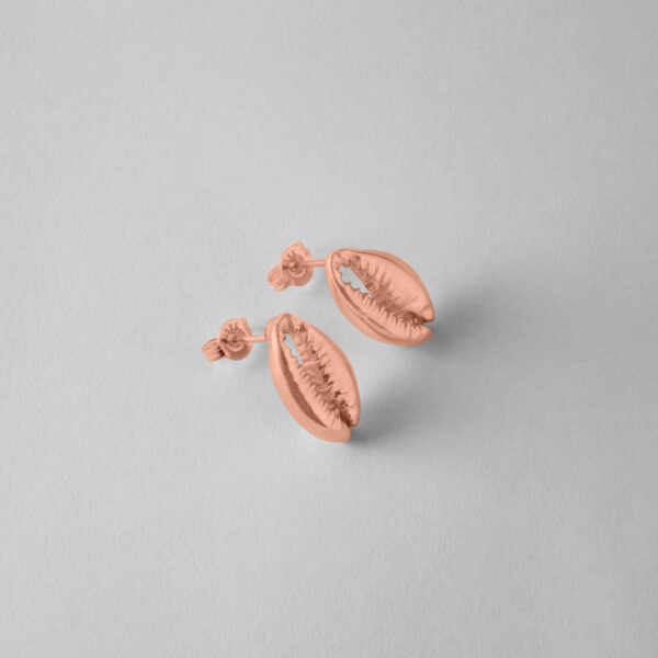 Cowrie Studs - Image 7