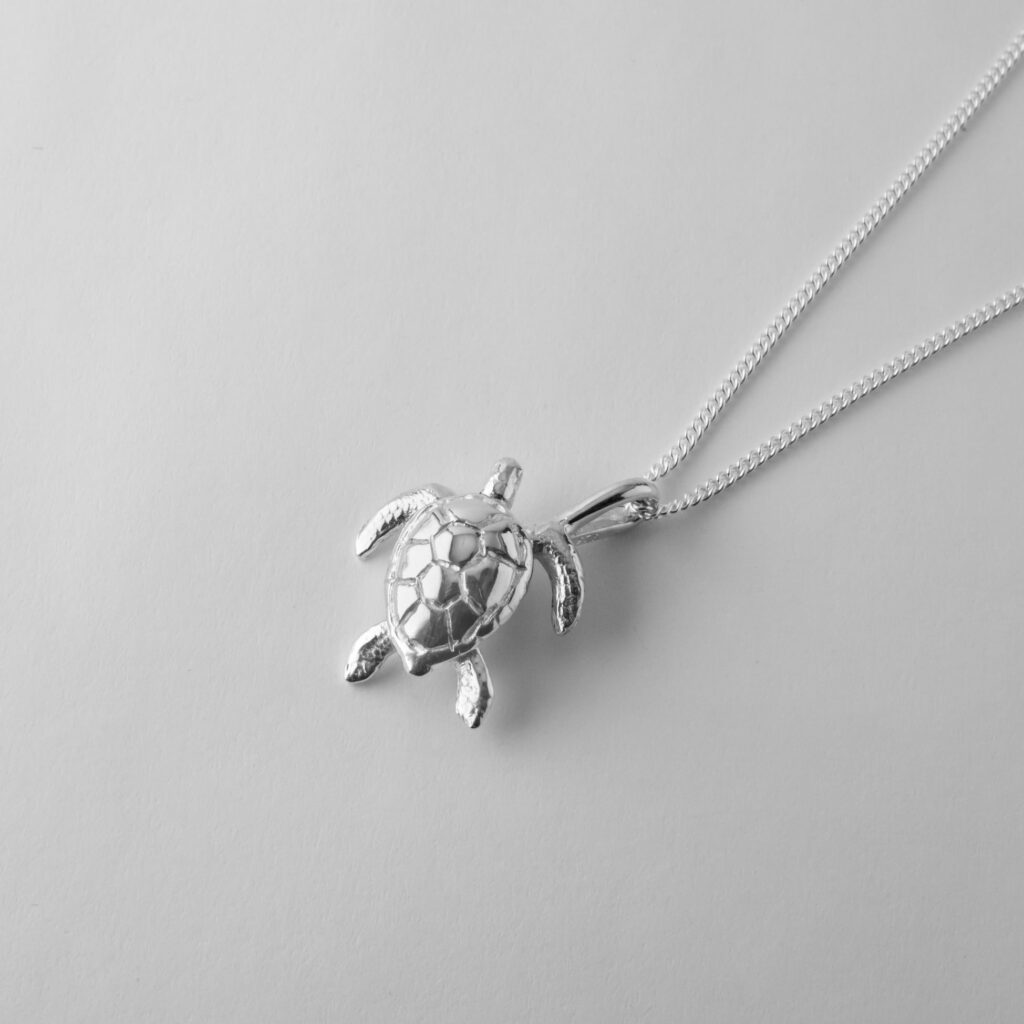 1. Small Turtle New 1