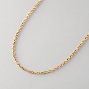 Gold Oval Belcher Chain