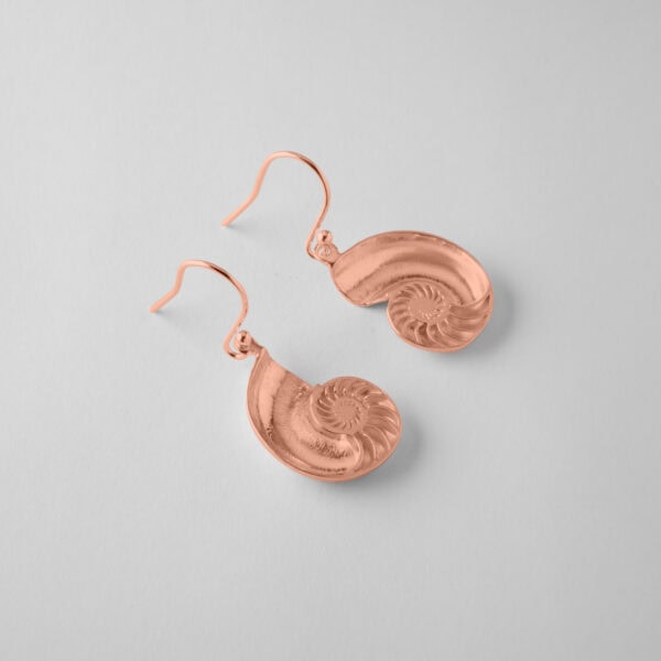 Nautilus Shell Earrings - Image 8