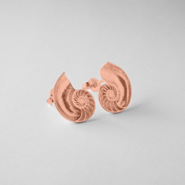 Nautilus Shell Studs - Image 7