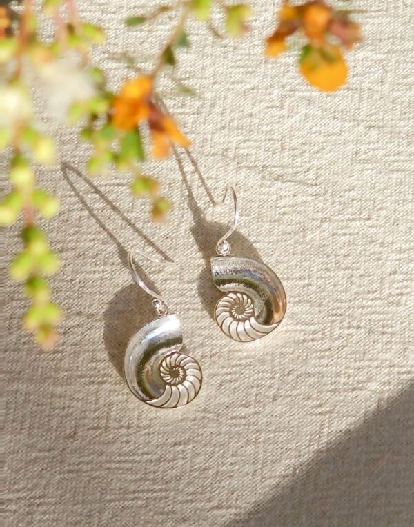 Nautilus Shell Earrings - Image 7