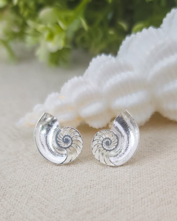 Nautilus Shell Studs - Image 5