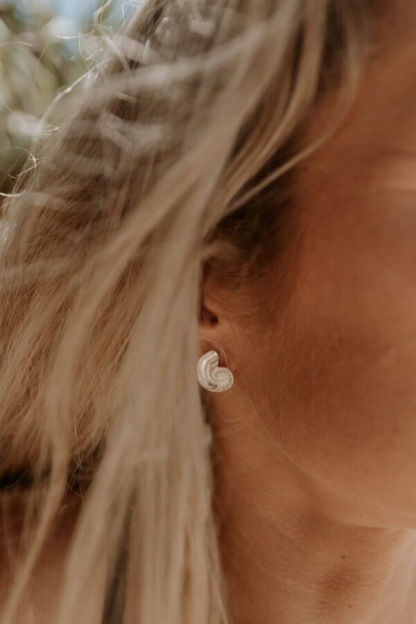 Nautilus Shell Studs - Image 6