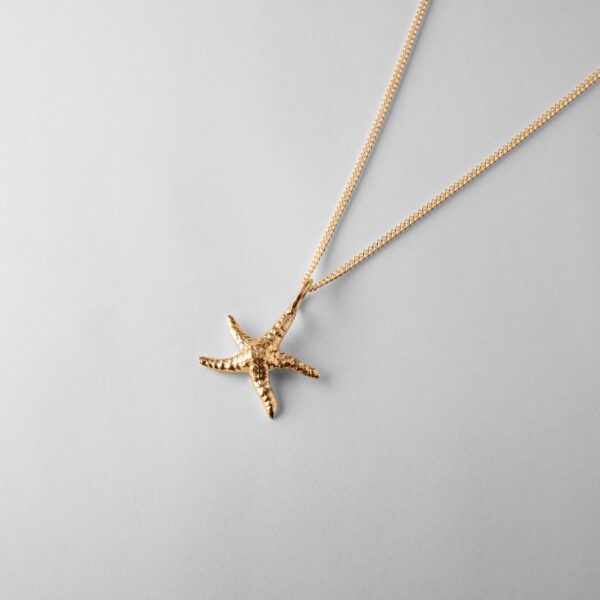 Medium Starfish - Image 3