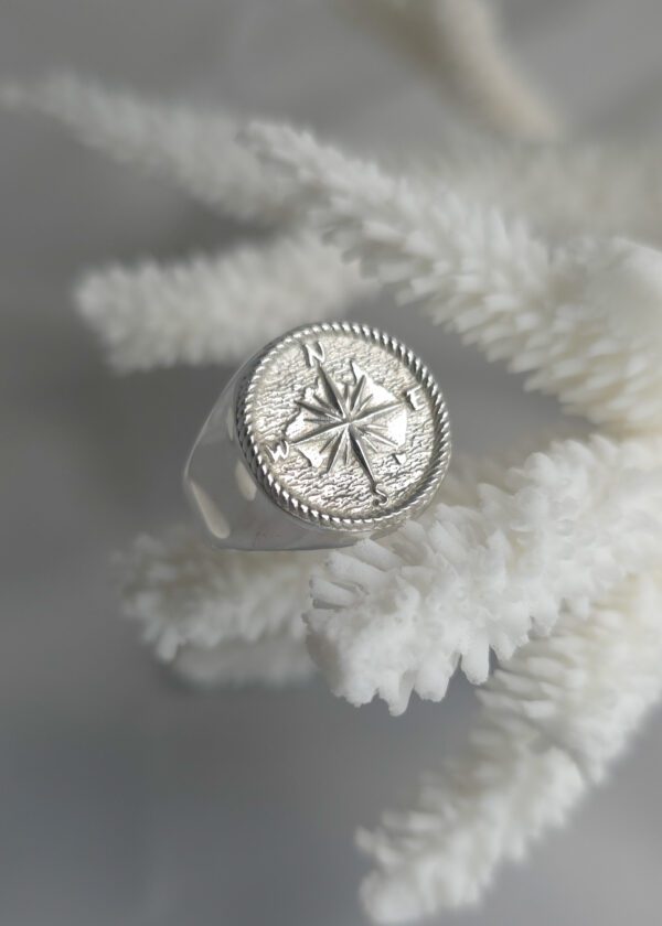 Large Compass Signet - Image 5