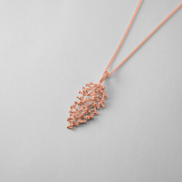 Crown Coral - Image 7