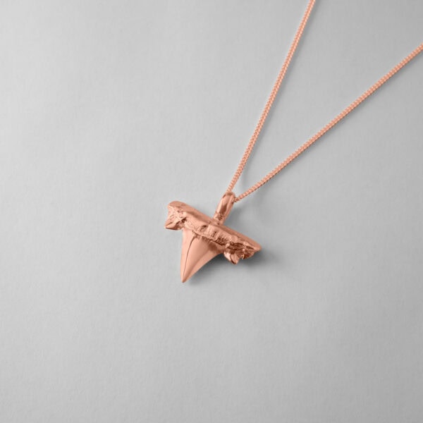 Shark Tooth - Image 10