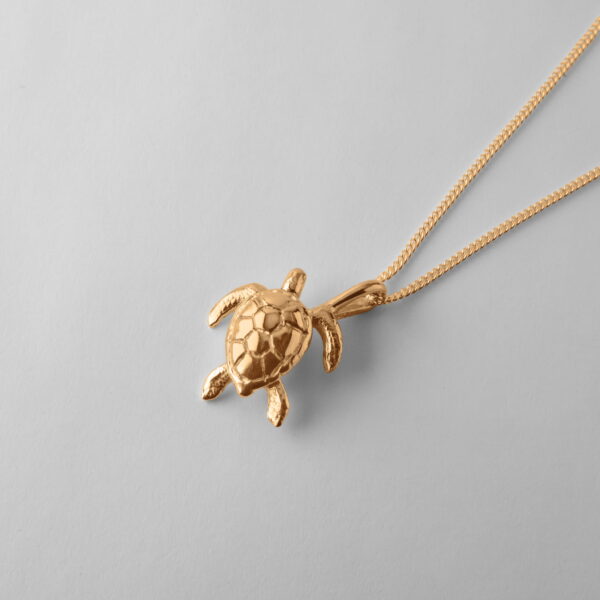 Small Turtle - Image 3