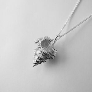 Silver Large Kookaburra Shell pendant on chain