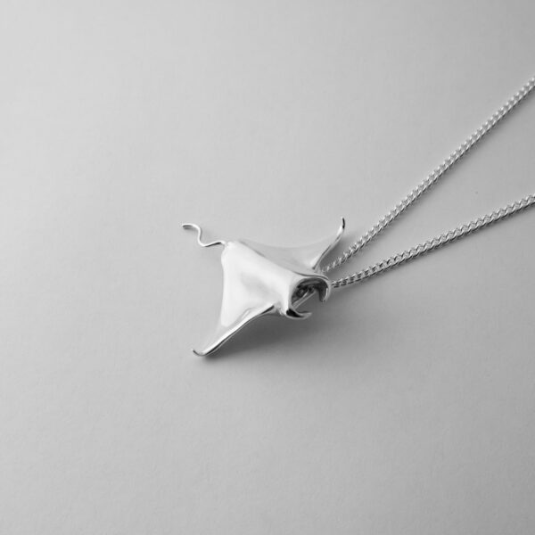 Large Manta Ray