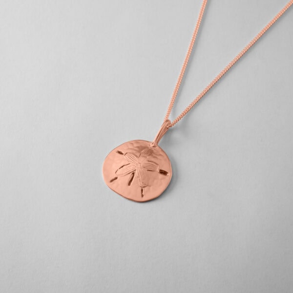 Large Sand Dollar - Image 6