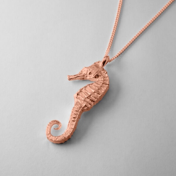 Large Seahorse - Image 8