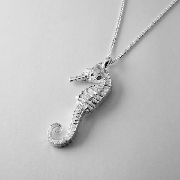Large Seahorse