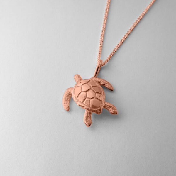 Large Turtle - Image 7