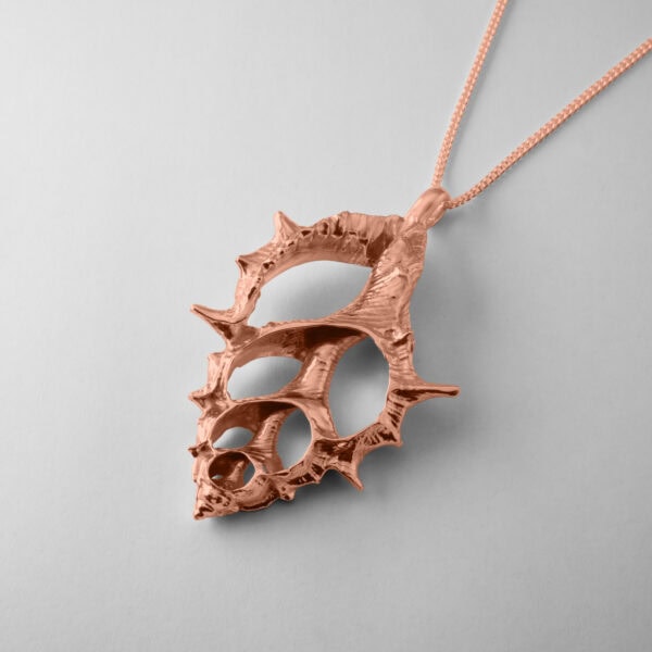 Maple Leaf Shell - Image 6