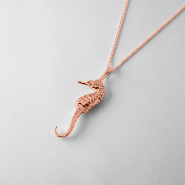 Medium Seahorse - Image 7