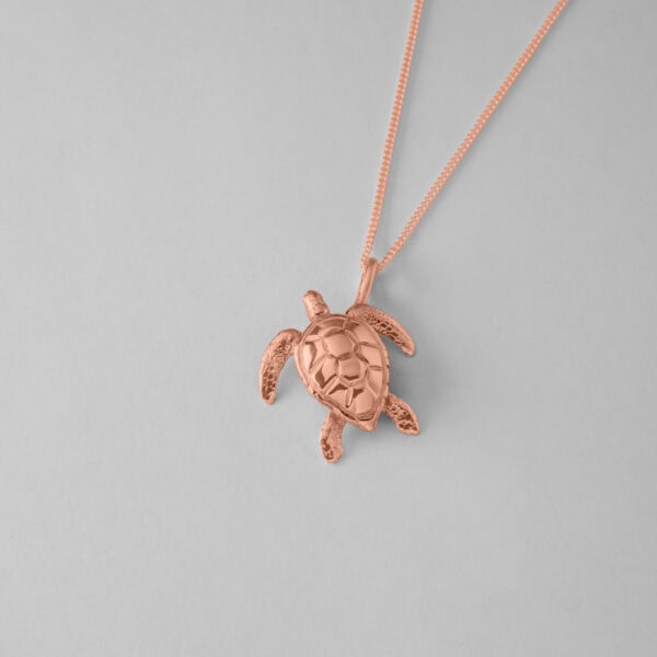 Medium Turtle - Image 7
